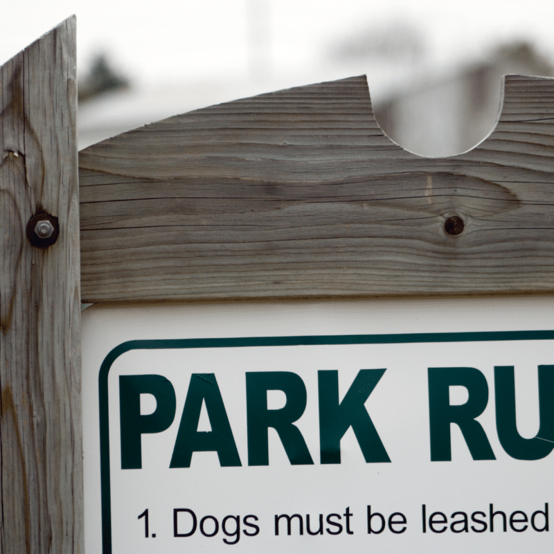 Dog park rules